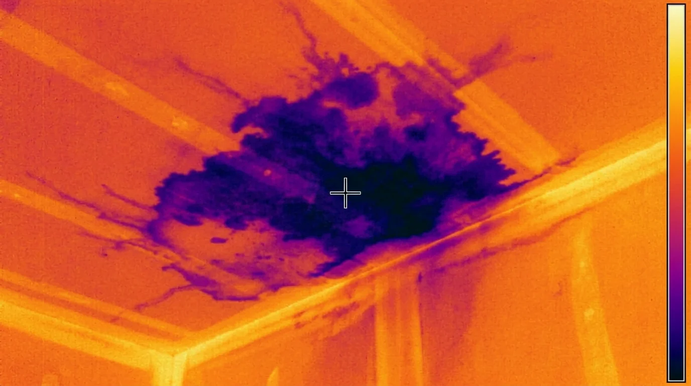 Thermal image of a wet patch across a ceiling